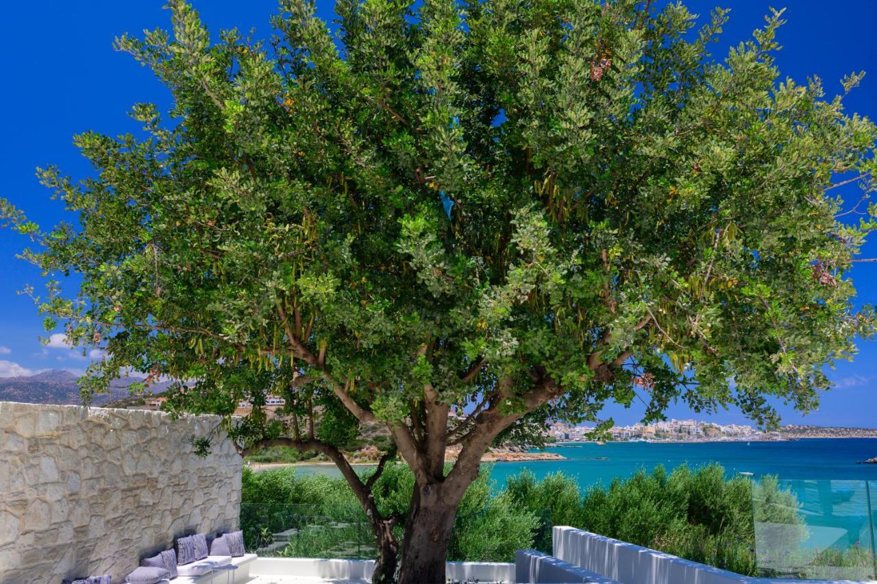 The Island Concept Luxury Boutique Hotel Heated Pool Άγιος Νικόλαος Εξωτερικό φωτογραφία